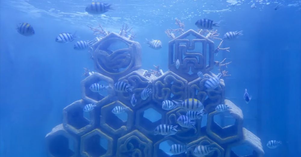 Spotlight – Taiwan: the MiniPrinter XL helps repopulate the ocean