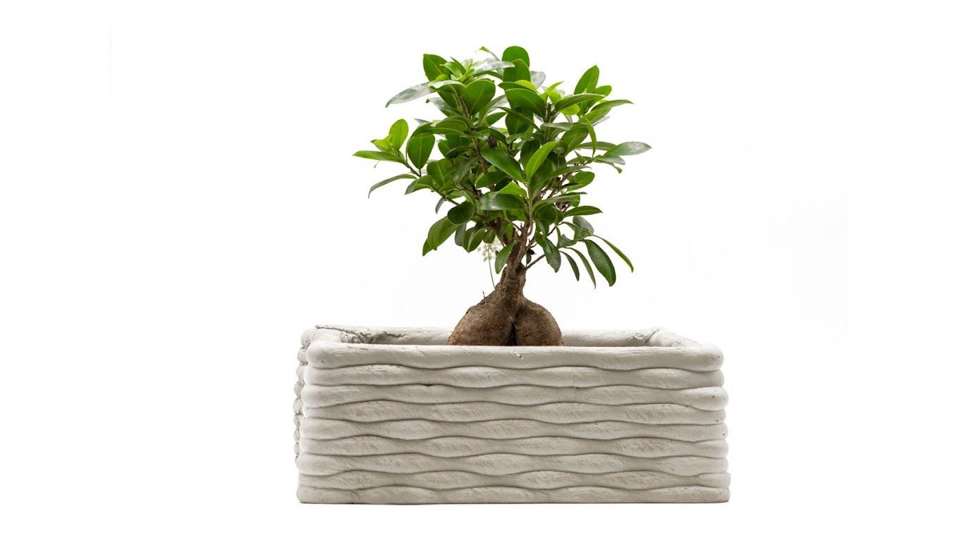 3D Printed Furniture 